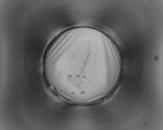 X0000101990892200808081632