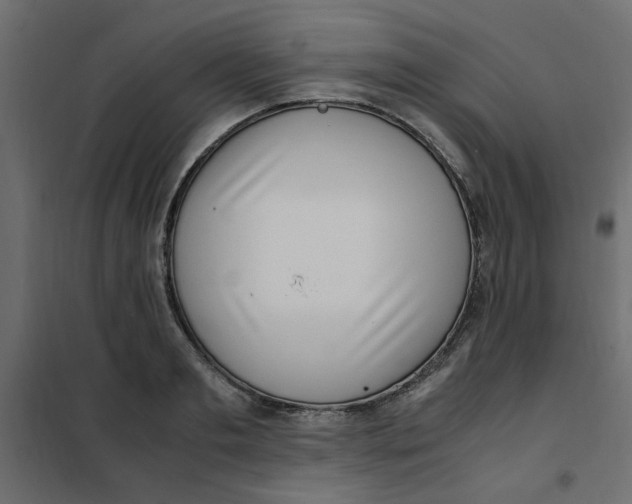 X0000101990893200808081632