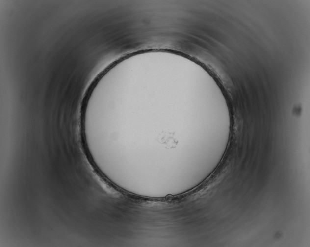 X0000101990894200808081632