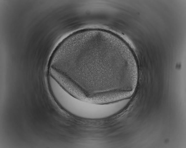 X0000101990895200808081632