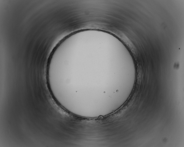 X0000101990896200808081632