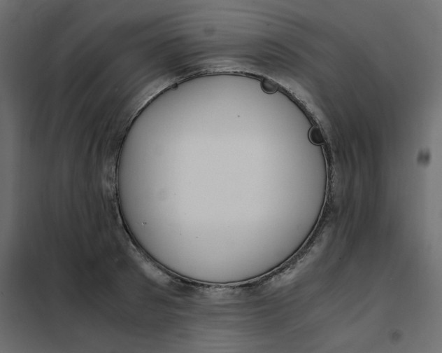 X0000101990897200808081632