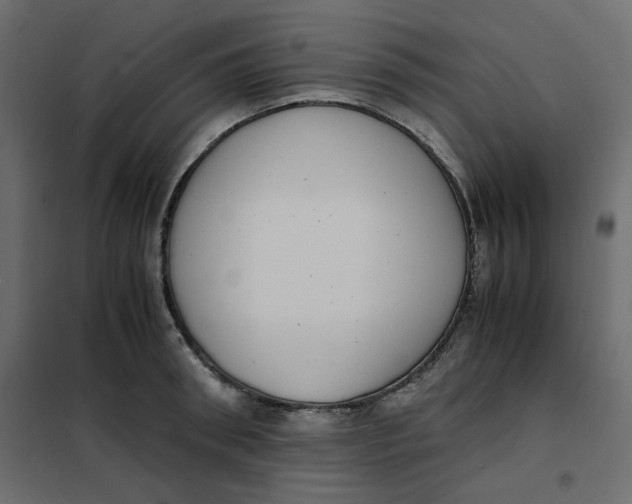 X0000101990898200808081632