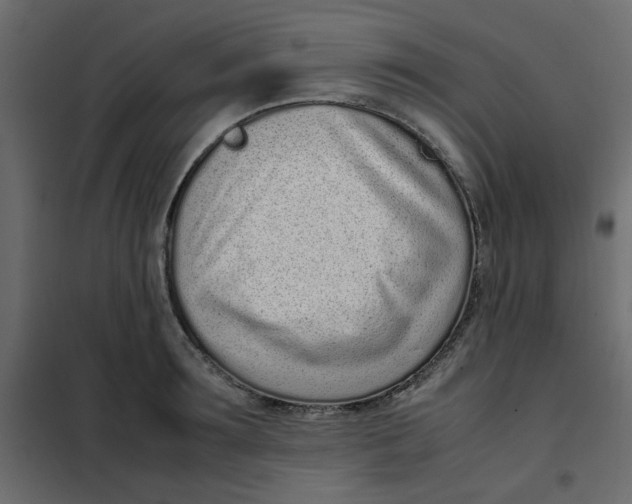 X0000101990899200808081632