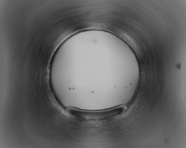 X0000101990900200808081632