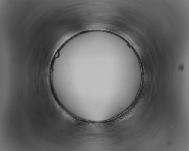 X0000101990901200808081632