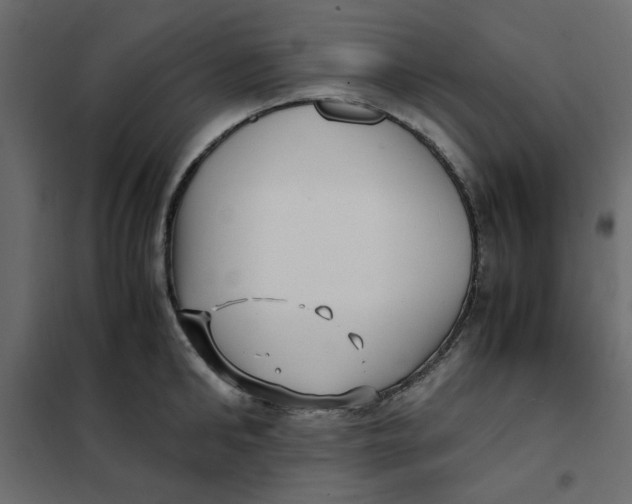 X0000101990902200808081632