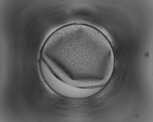 X0000101990903200808081632