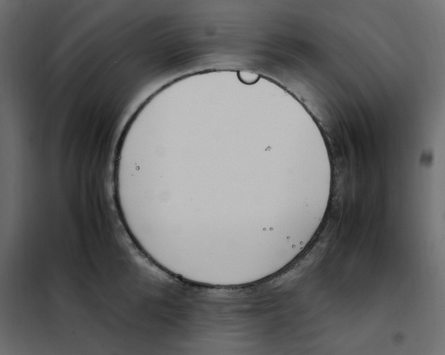 X0000101990904200808081632