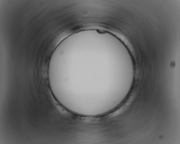 X0000101990905200808081632