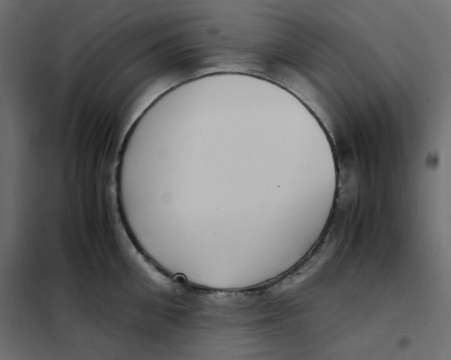 X0000101990906200808081632