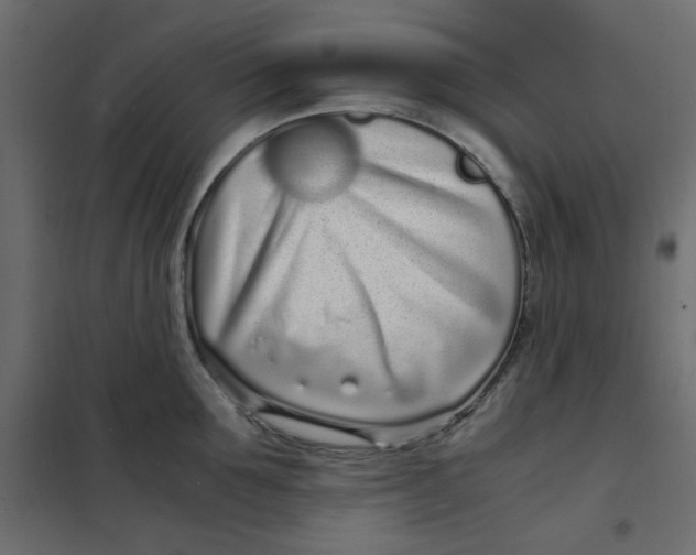 X0000101990907200808081632