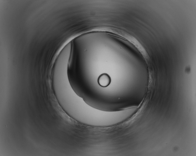 X0000101990908200808081632