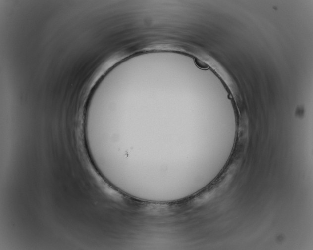 X0000101990909200808081632