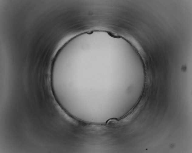 X0000101990910200808081632