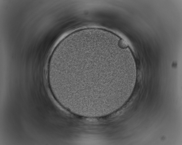 X0000101990911200808081632