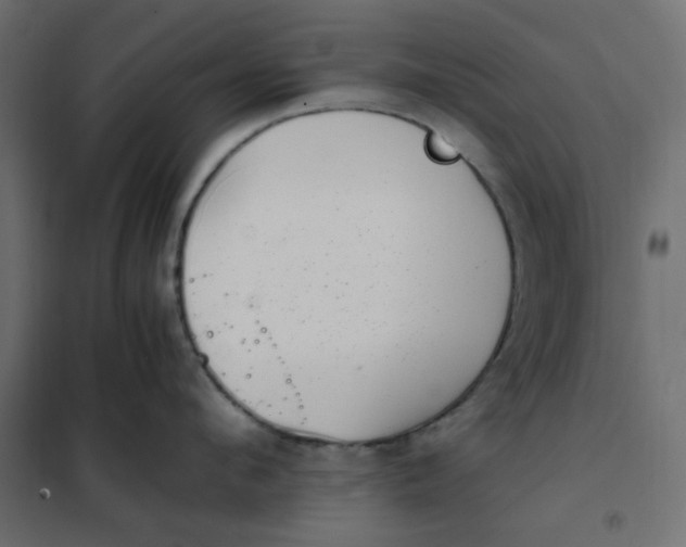 X0000101990912200808081632