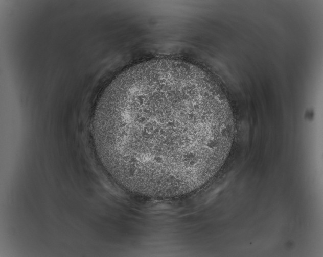 X0000101990913200808081631