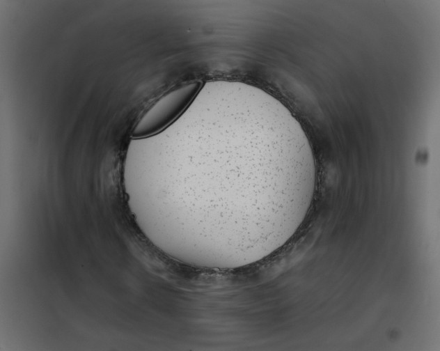 X0000101990914200808081631