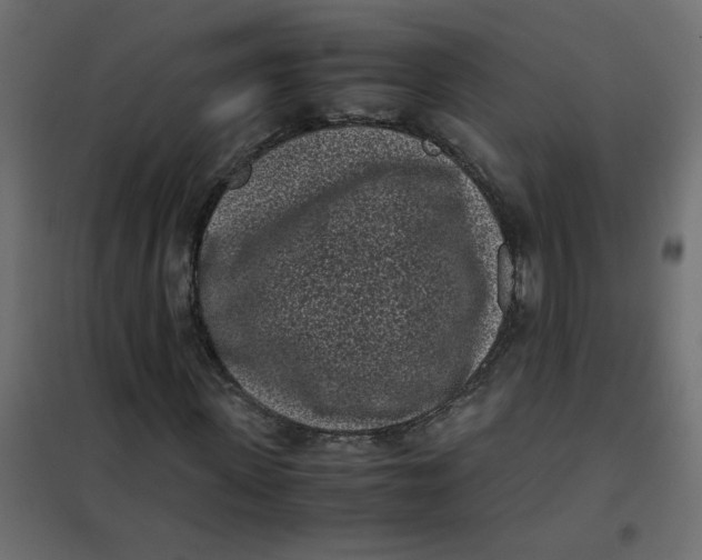 X0000101990915200808081631