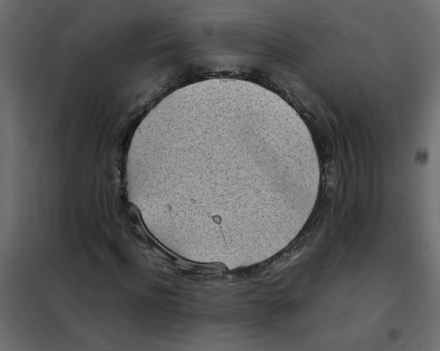 X0000101990916200808081631