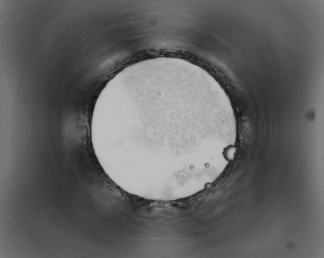 X0000101990918200808081631