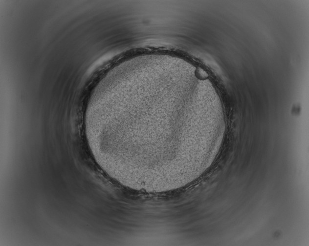 X0000101990920200808081631