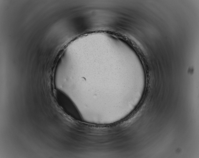 X0000101990921200808081631