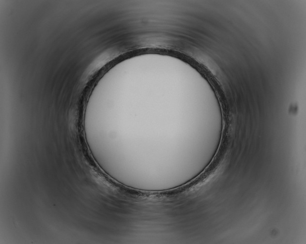 X0000101990922200808081631