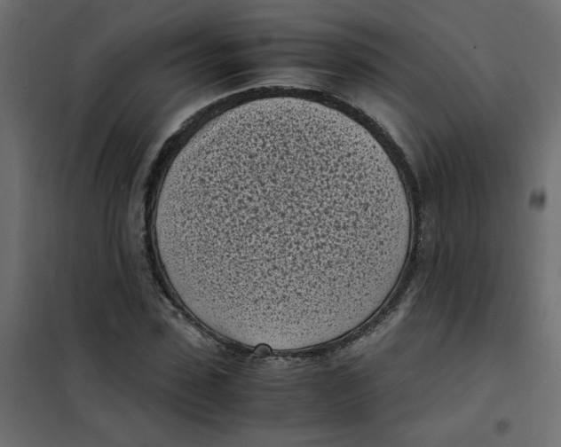 X0000101990923200808081631