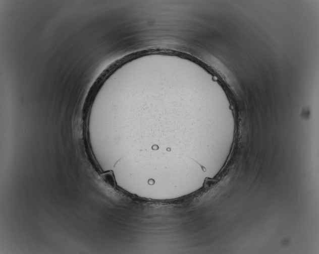 X0000101990924200808081631