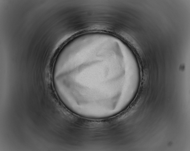 X0000101990925200808081631