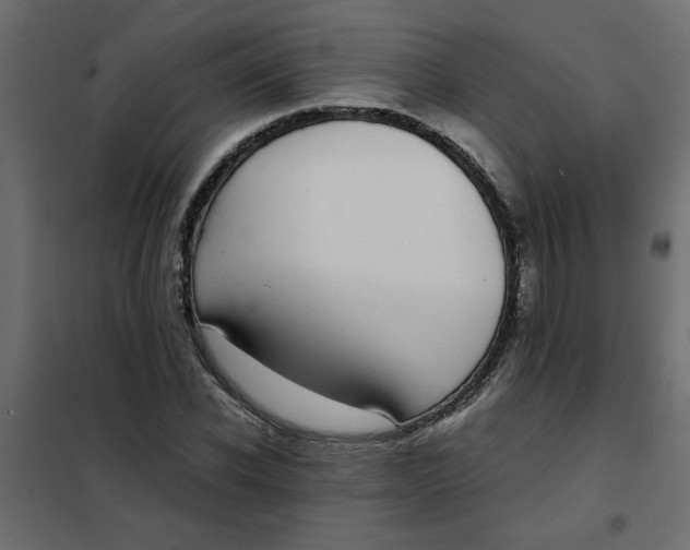 X0000101990926200808081631