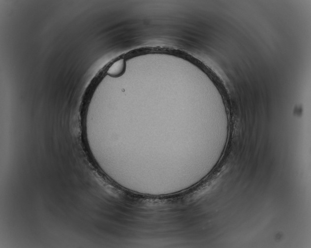 X0000101990927200808081631