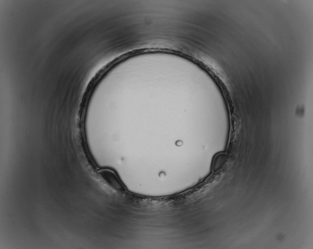 X0000101990928200808081631