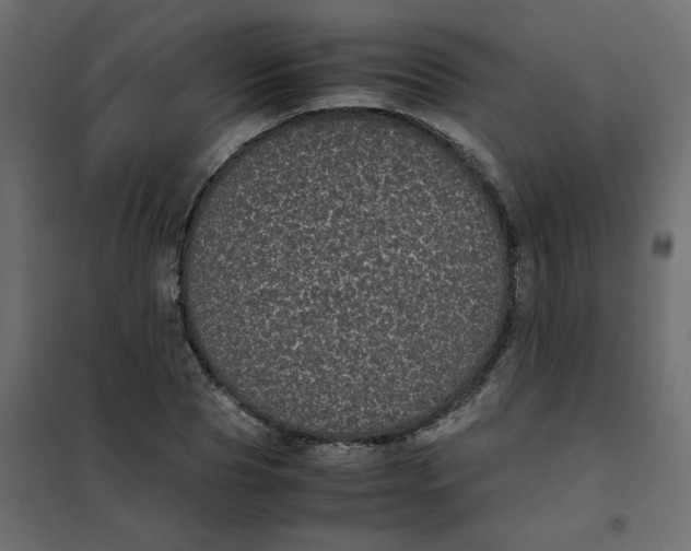 X0000101990929200808081631