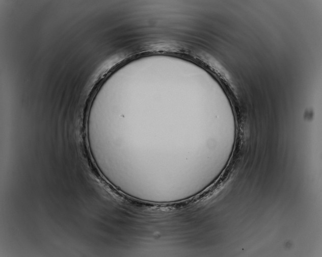 X0000101990930200808081631