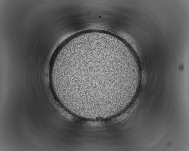 X0000101990931200808081631