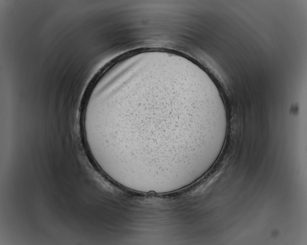 X0000101990932200808081631