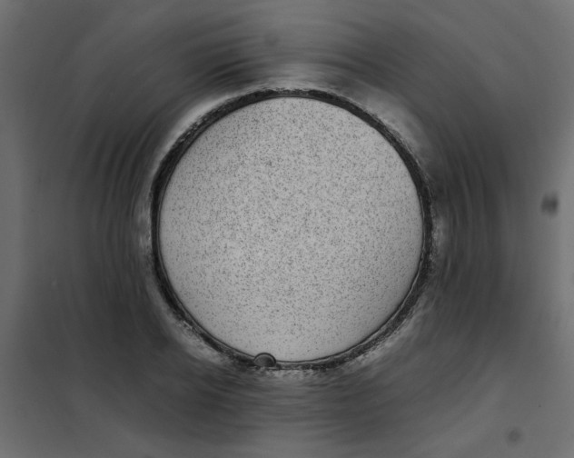 X0000101990934200808081632