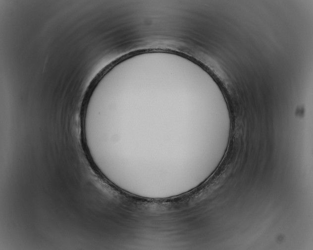 X0000101990936200808081632