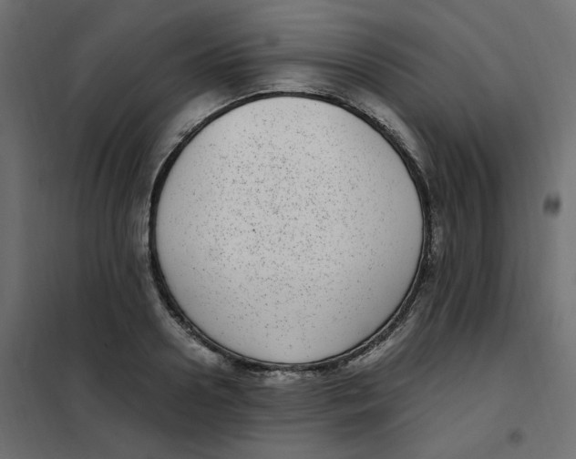 X0000101990938200808081632