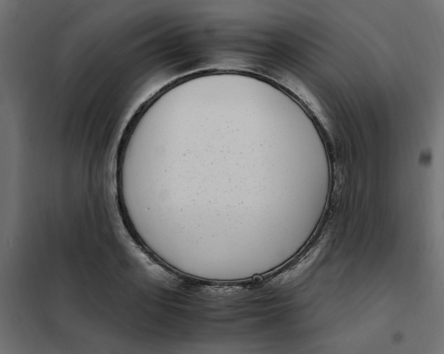 X0000101990939200808081632