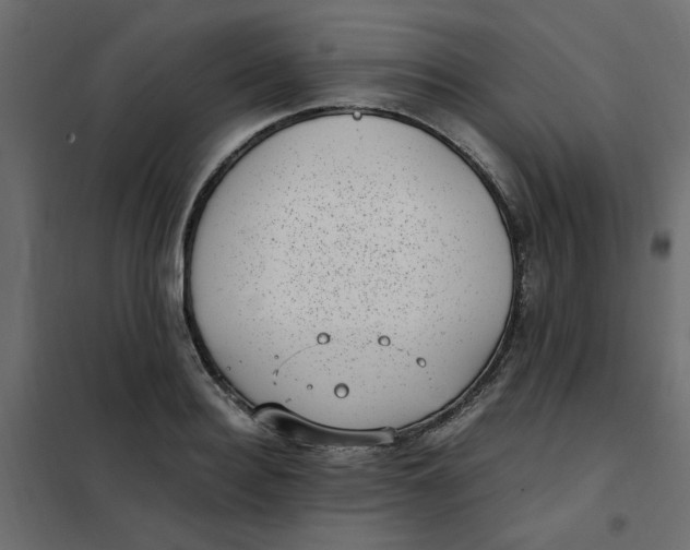 X0000101990940200808081632