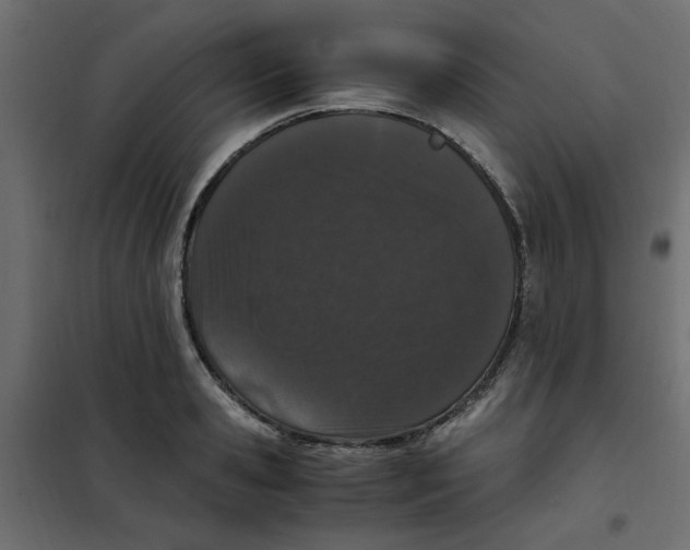 X0000101990941200808081632