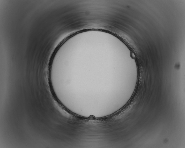 X0000101990942200808081632