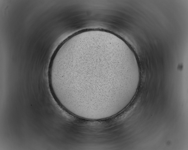 X0000101990943200808081632