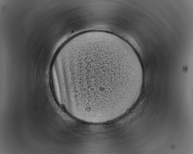 X0000101990944200808081632