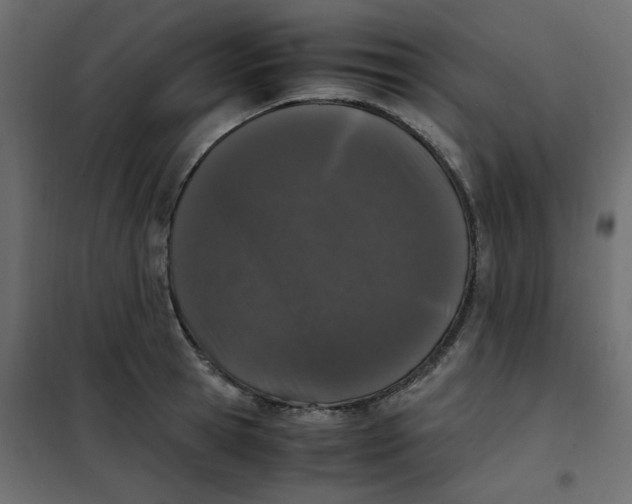 X0000101990945200808081632