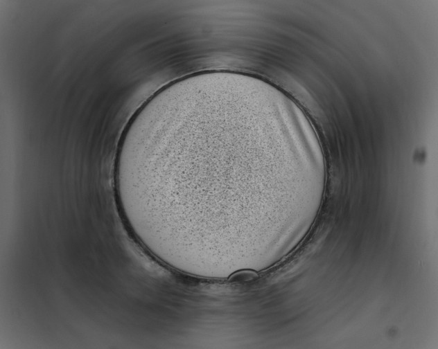 X0000101990946200808081632